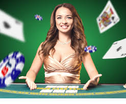 karikya নিরাপদ লগইন ও অ্যাকাউন্ট প্রবেশের উপস্থাপনামূলক ছবি